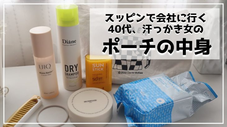 【ポーチの中身紹介】とっても需要が無さそうな、私の夏の必需品を紹介します【40代スッピン汗っかき女】