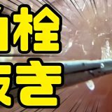 【スッキリ】角栓抜き 総集編 【おまけ付き】Blackheads