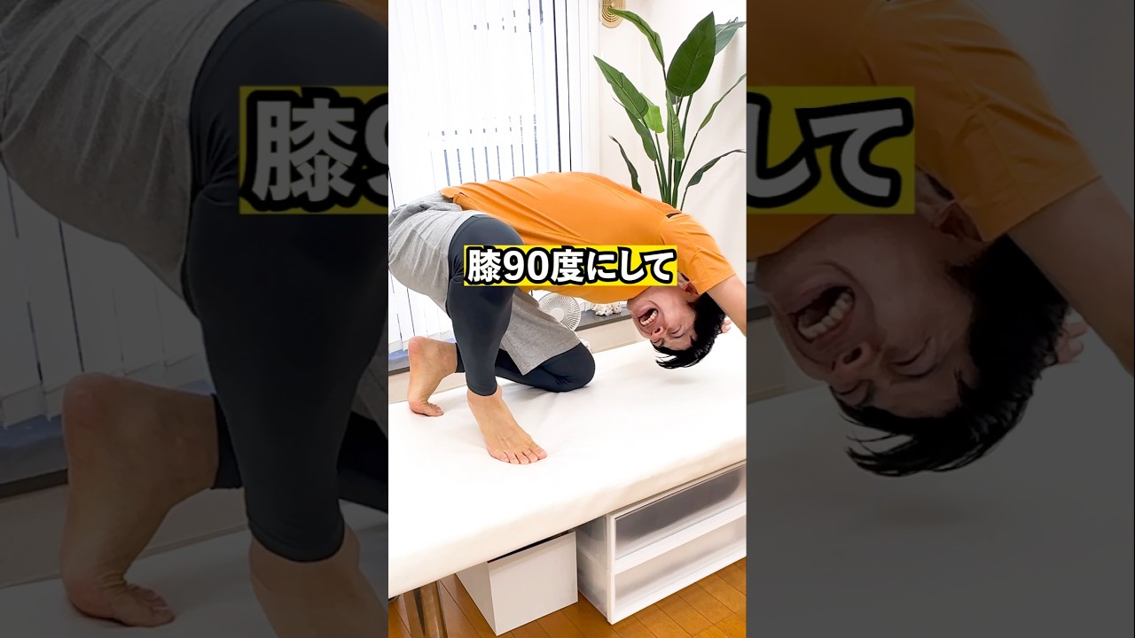 【若返り】50代からの股関節ほぐしストレッチ #Shorts #ダイエット #老化予防