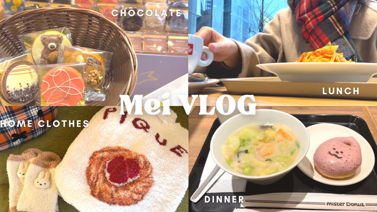 【vlog】寒さに少し手抜きになった6日間⛄️|チョコレート博覧会🍫|新しいgelato pique