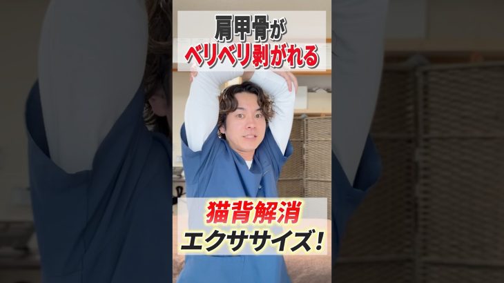 肩甲骨がベリベリ剥がれるエクササイズ：肩、背中、肩甲骨をほぐして猫背も解消しよう