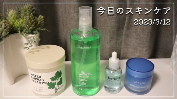 【今日のスキンケア】嫌いだったコレにコレを合わせたら超使いやすい‼【SKINFOOD/VTcosmetics/Torriden/LANEIGE】