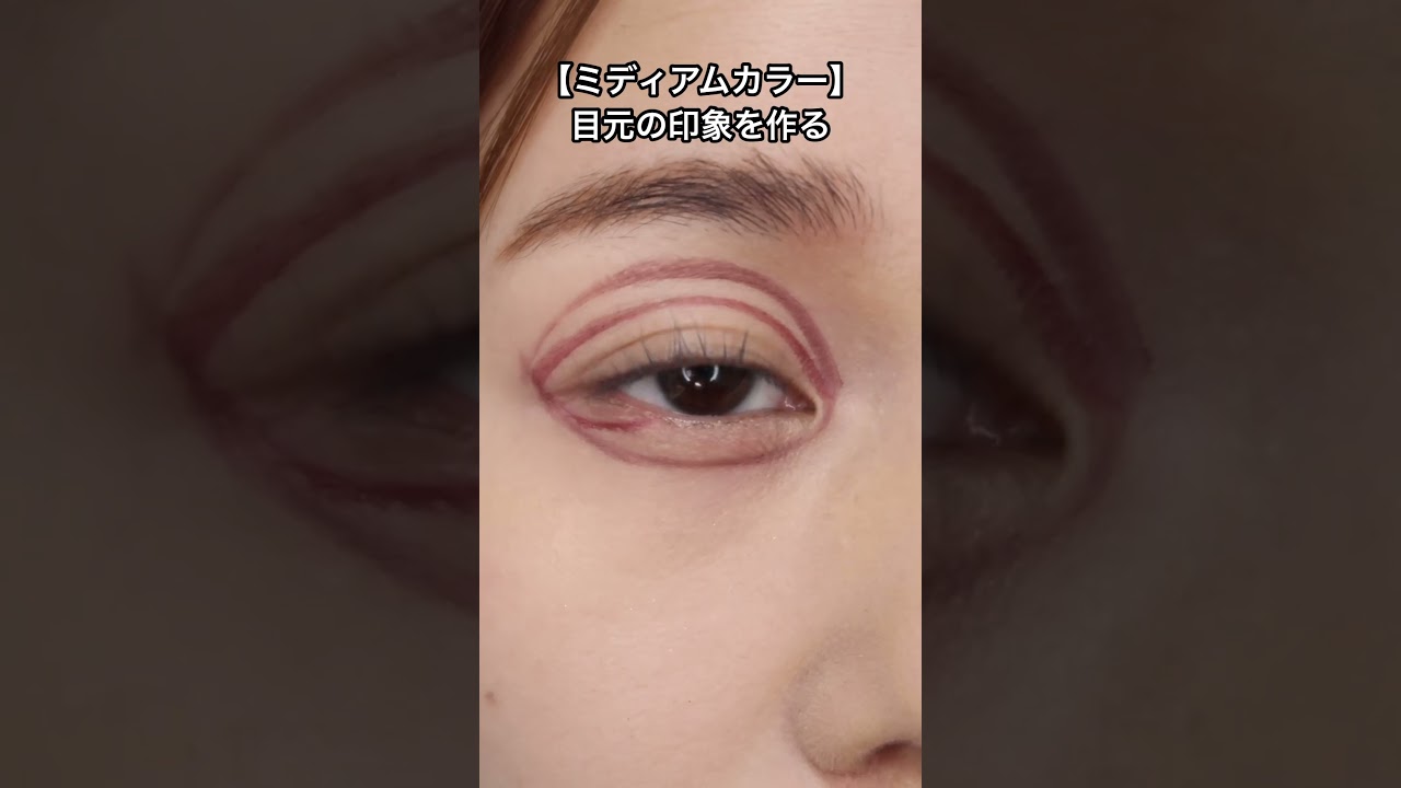 【プロ解説】今更聞けない!?アイシャドウの超基本の塗り方#アイシャドウの塗り方#メイク初心者#メイクの基本