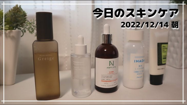 【今日のスキンケア 朝】新しく使いだした化粧水で肌の水分アップ！エイジングケアが気になる方にもオススメです【Greige/inersential/AMPLE:N/IHADA/COSRX】