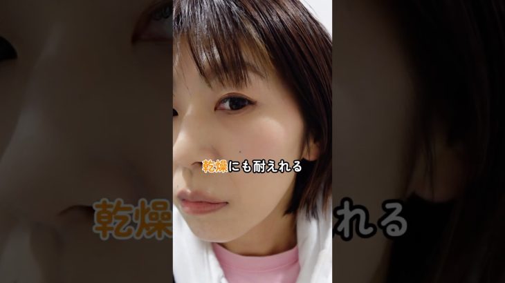 乾燥に負けない肌作り発信中 #アラフォー #美容 #スキンケア #40代美容 #50代美容