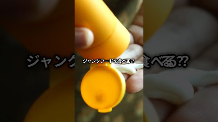 🚨まさか…それ老化の原因だったの？今すぐやめたいNG習慣5選 #老化防止 #若返り #健康習慣