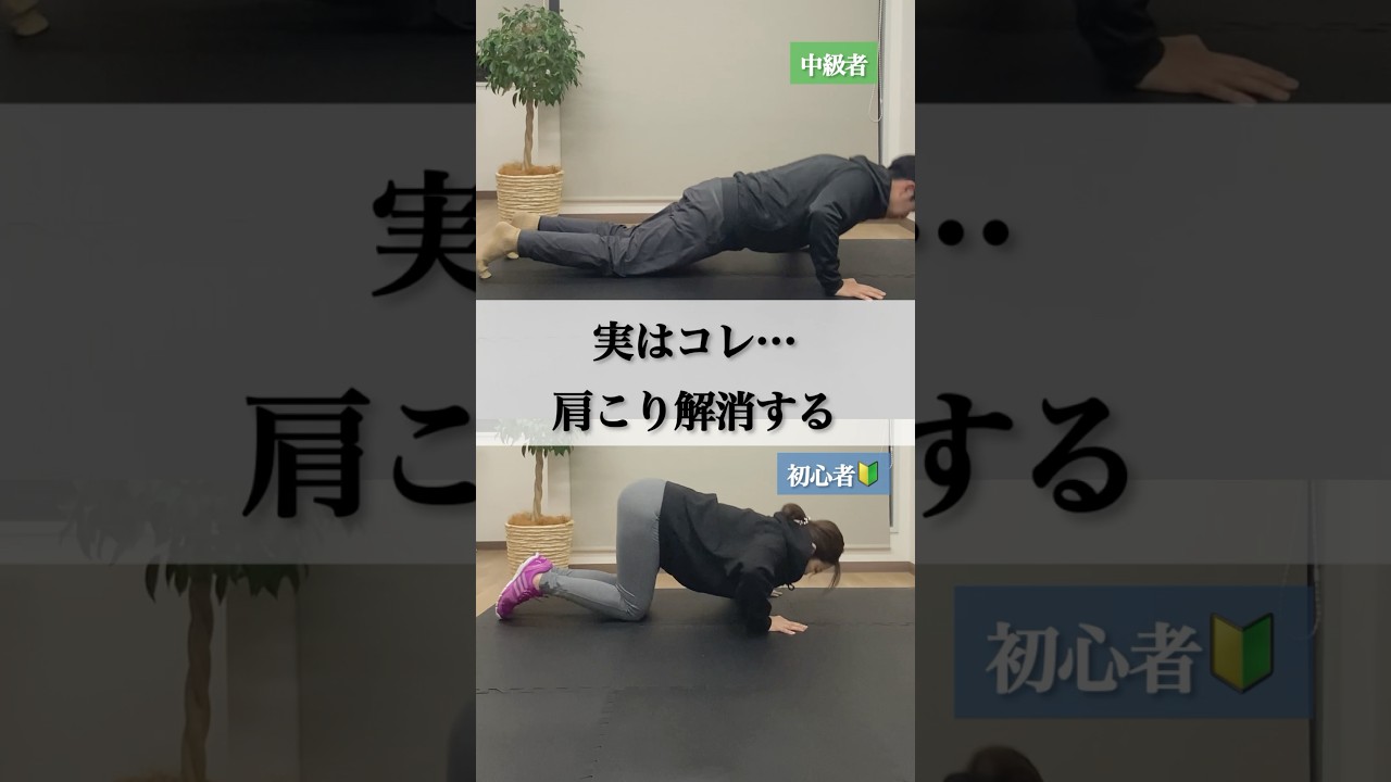 肩甲骨周辺の血流&代謝アップ↑ #肩凝り解消 #肩甲骨ダイエット #トレーニング初心者