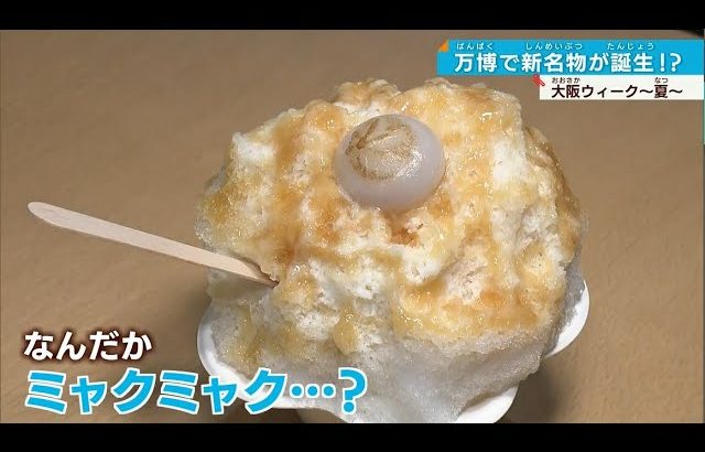 【万博・大阪ウィークで】発見！泉佐野市のみたらし団子かき氷