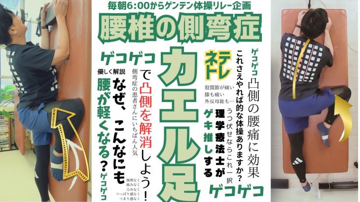 【ゲンテン体操リレー企画】思春期特発性側弯症の凸側を解消するネテトレ「カエル足」＃2