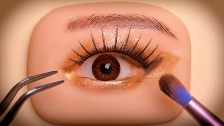 [ASMR] 医療用眼球にメイクアップするロールプレイ (NO TALKING)